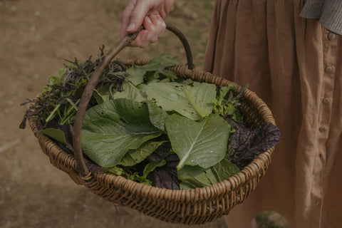 5 Essential Reasons To Eat Seasonally