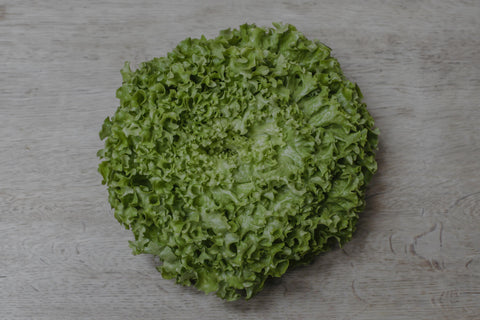 Lettuce Head