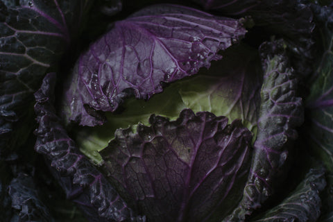 Deadon Cabbage