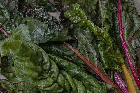 Rainbow Swiss Chard