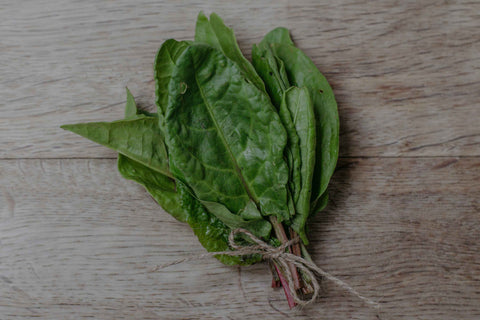 Sorrel Herb