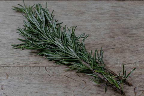 Rosemary