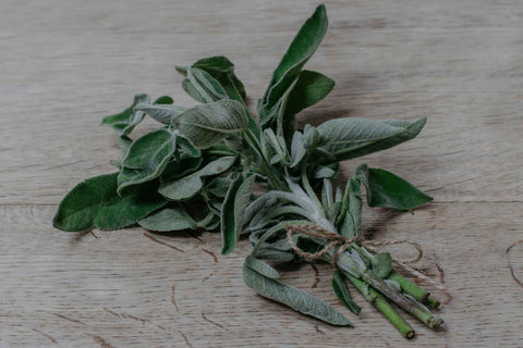 Sage