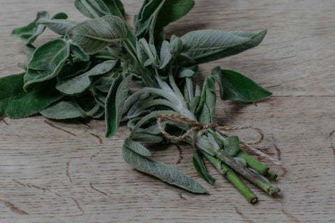 Sage