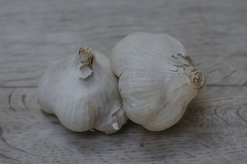 Garlic