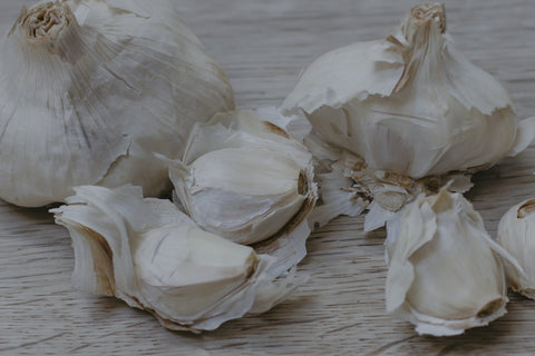 Garlic