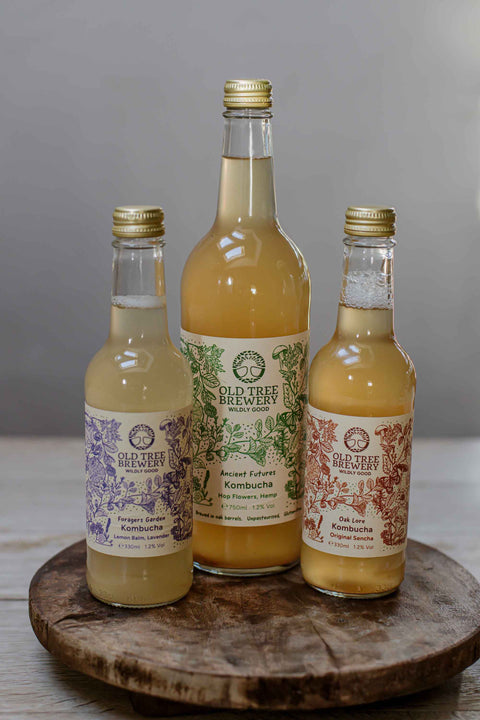 Kombucha