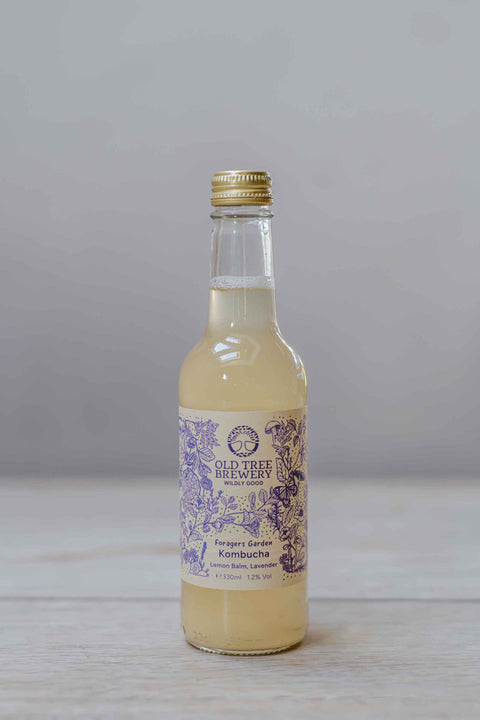 Kombucha
