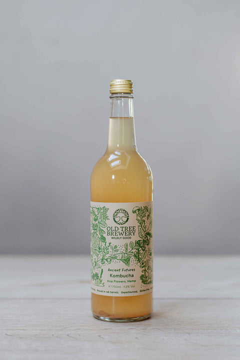 Kombucha