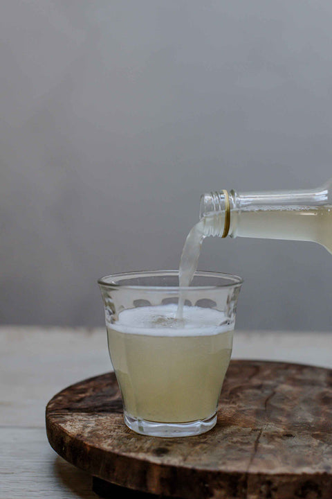 Kombucha