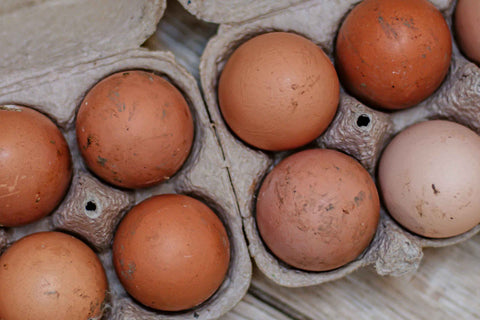 Heritage Hen Egg Share