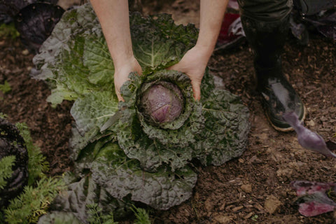Seasonal Vegetable Box