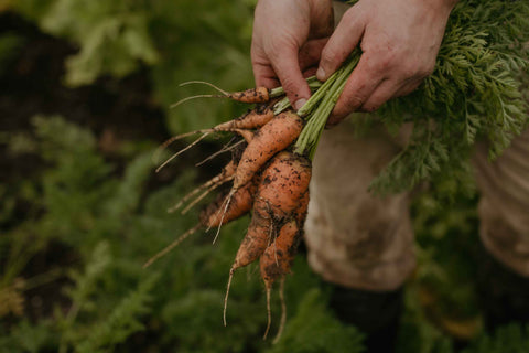 Seasonal Vegetable Box
