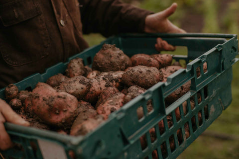 Seasonal Vegetable Box
