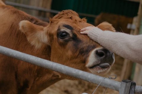 Clearer Steps and Steady Hands