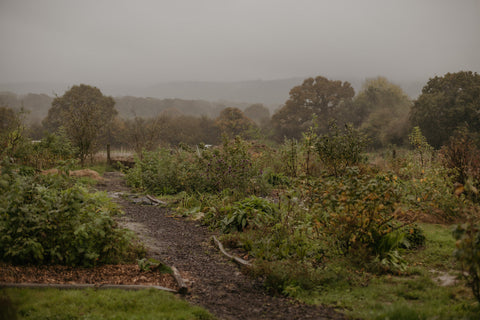 Autumn Equinox Weekend