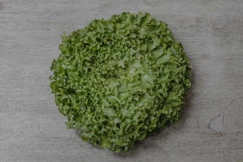 Lettuce Head