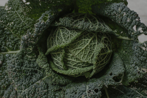 Savoy Cabbage