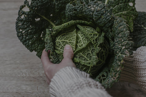 Savoy Cabbage