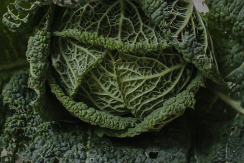 Savoy Cabbage