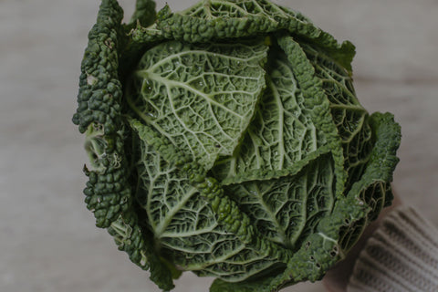 Savoy Cabbage