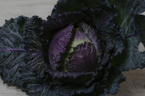 Deadon Cabbage