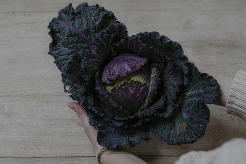 Deadon Cabbage