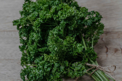 Curly leaf parsley