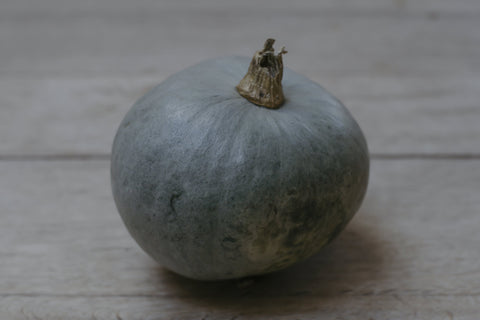 Winter Sweet Squash