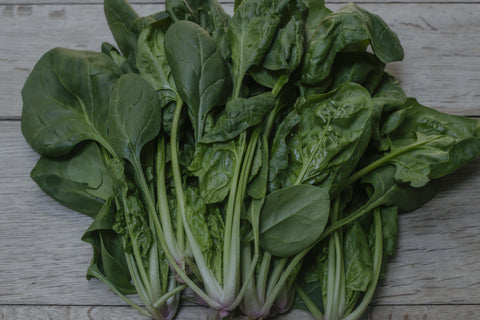 True Spinach