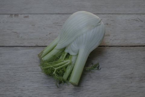 Fennel