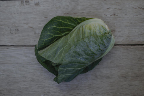 Cabbage