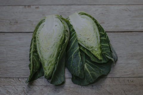 Cabbage