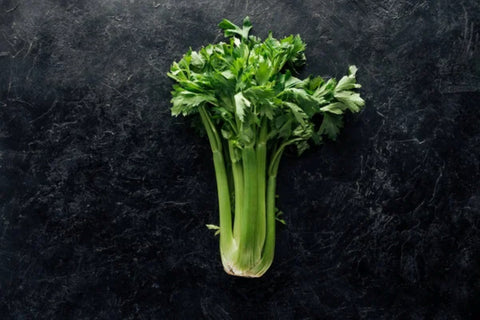 Celery