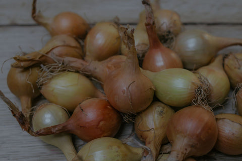 Pickling Onions